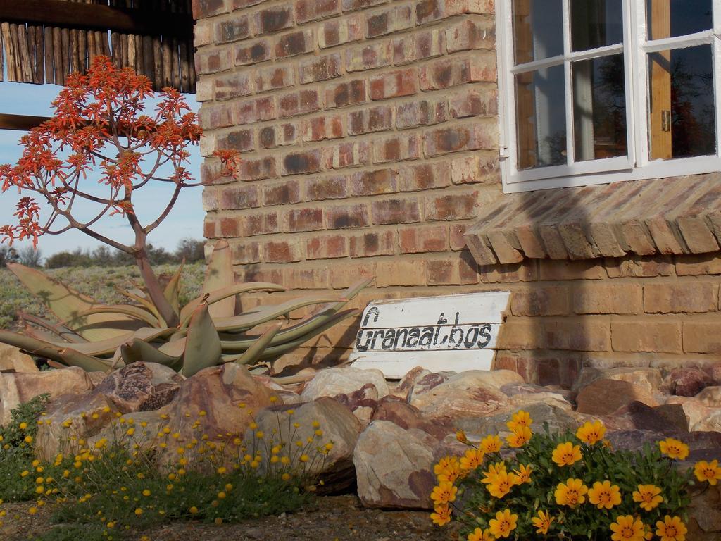 Wolvekraal Guest Farm Vila Prince Albert Exterior foto